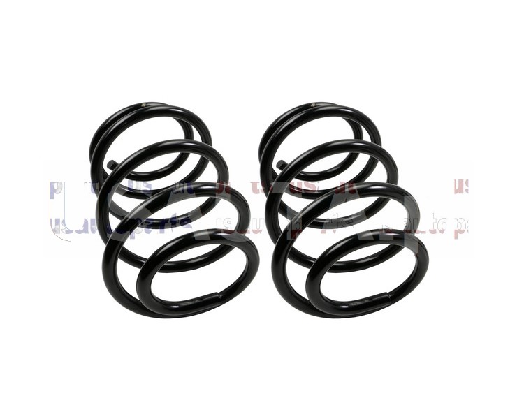 Sprężyny zawiezenia tylnego (2 szt.)